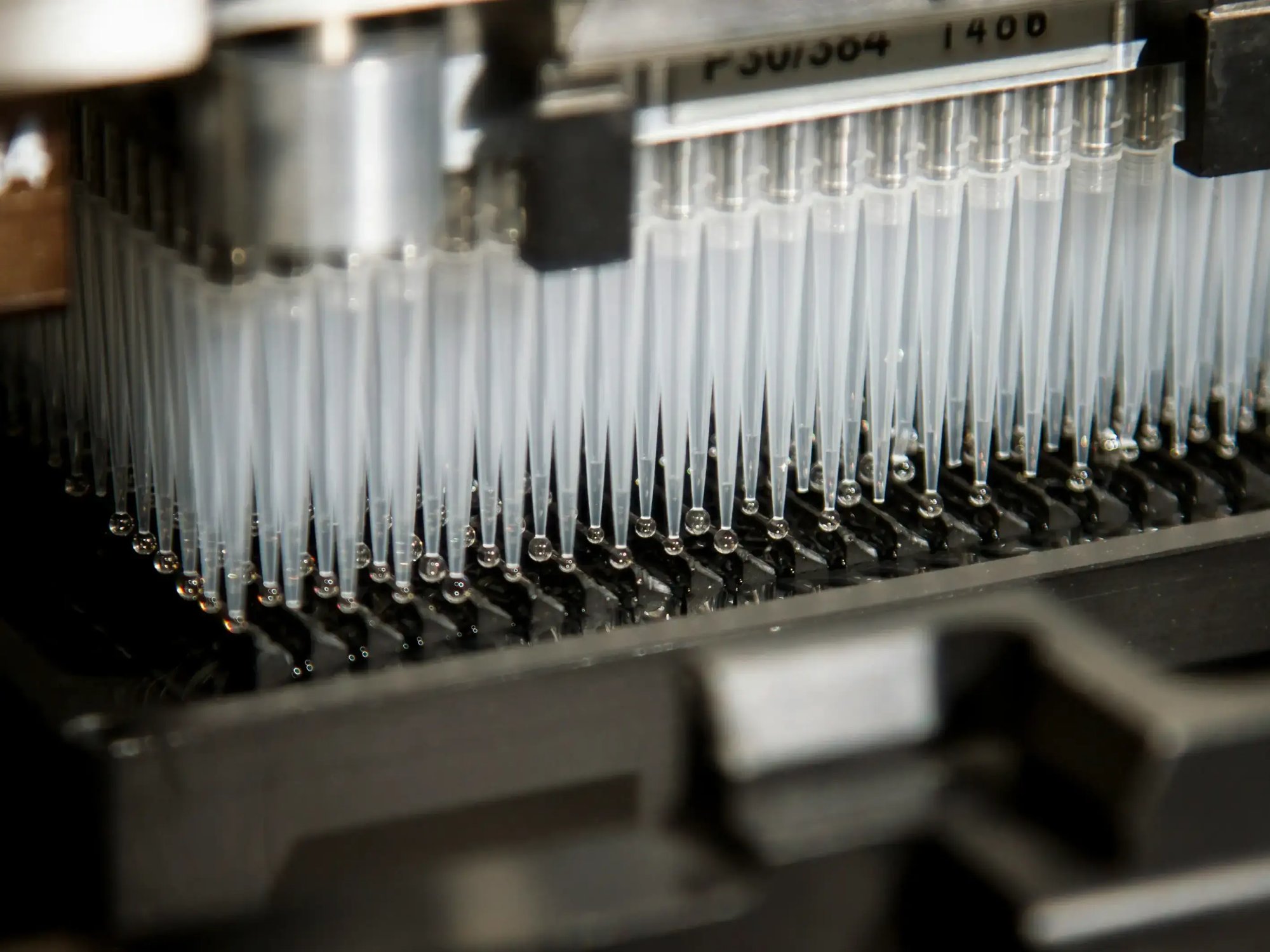 Macro shot of a sampling tool used in laboratories