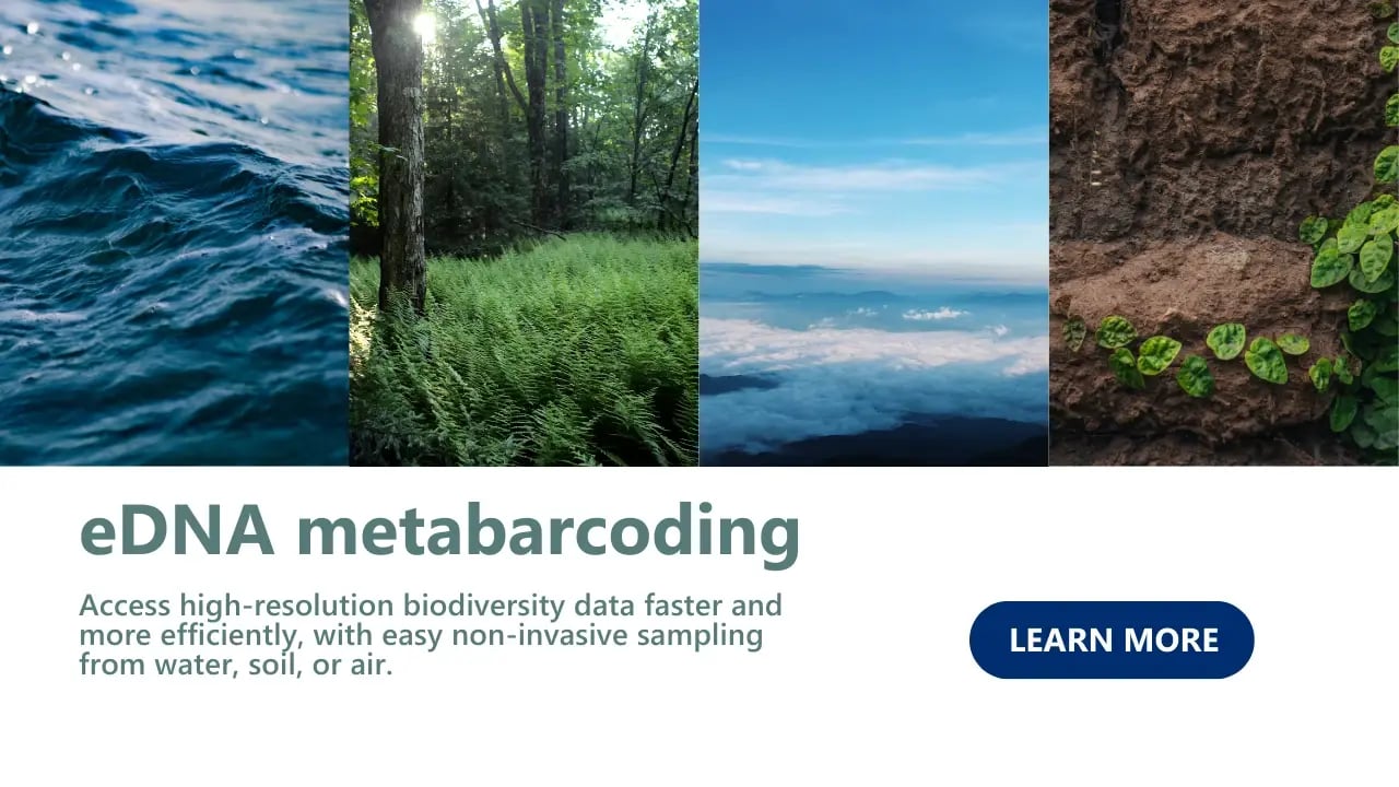 eDNA metabarcoding