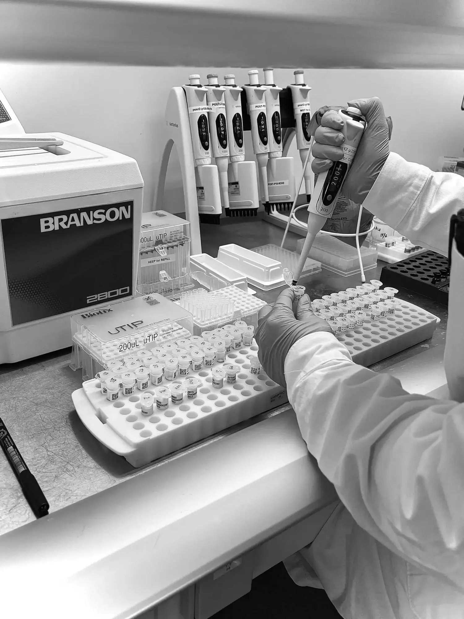 Lab technician pipetting samples in a research laboratory