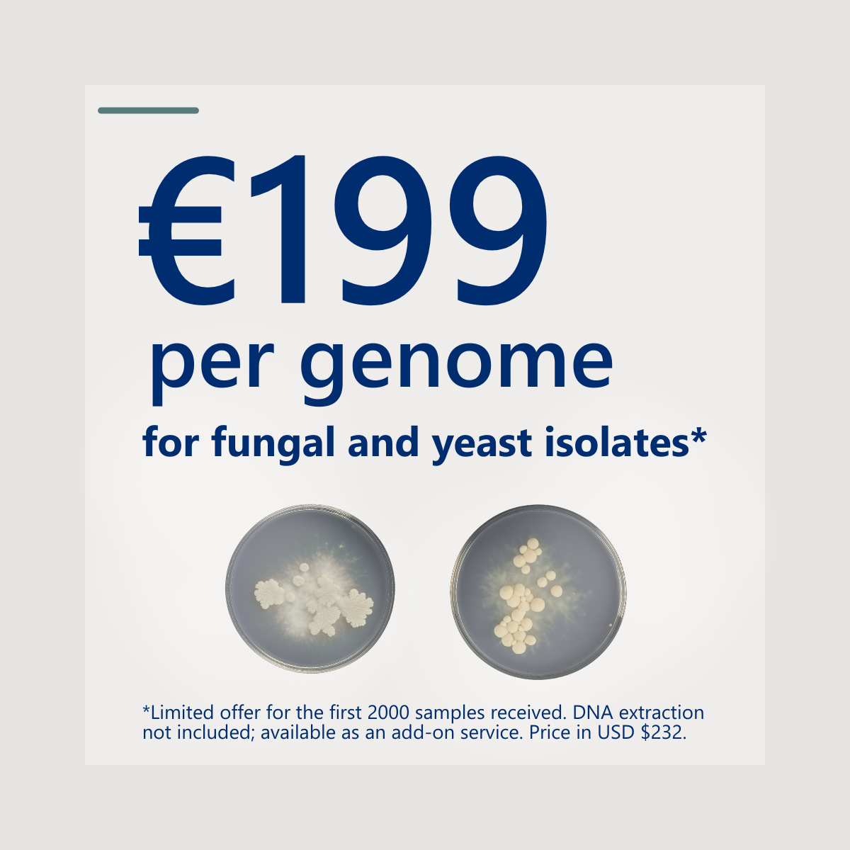 Unlock Yeast Genome Insights. €199 Hybrid Sequencing (8)