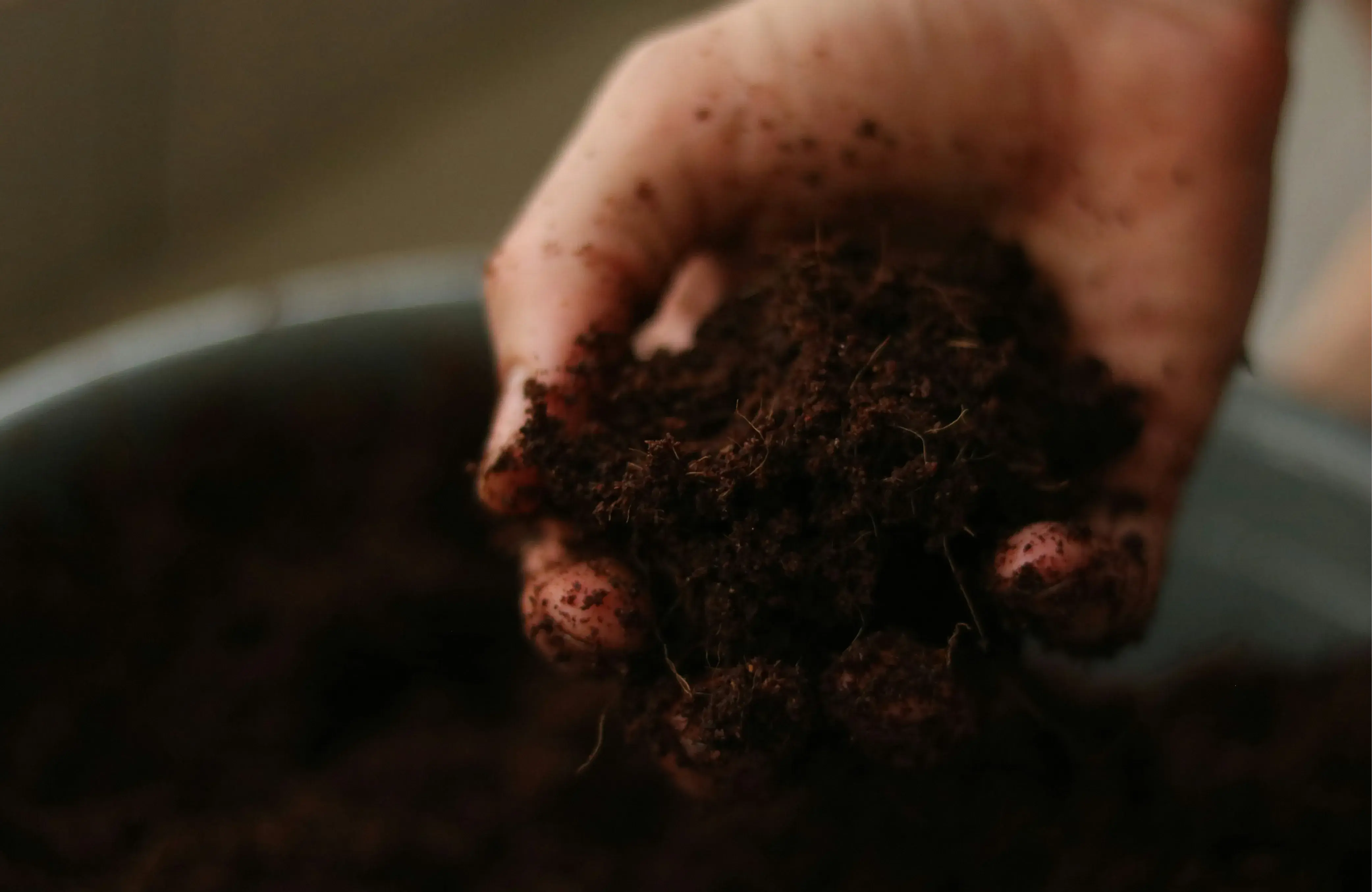 a hand holding soil