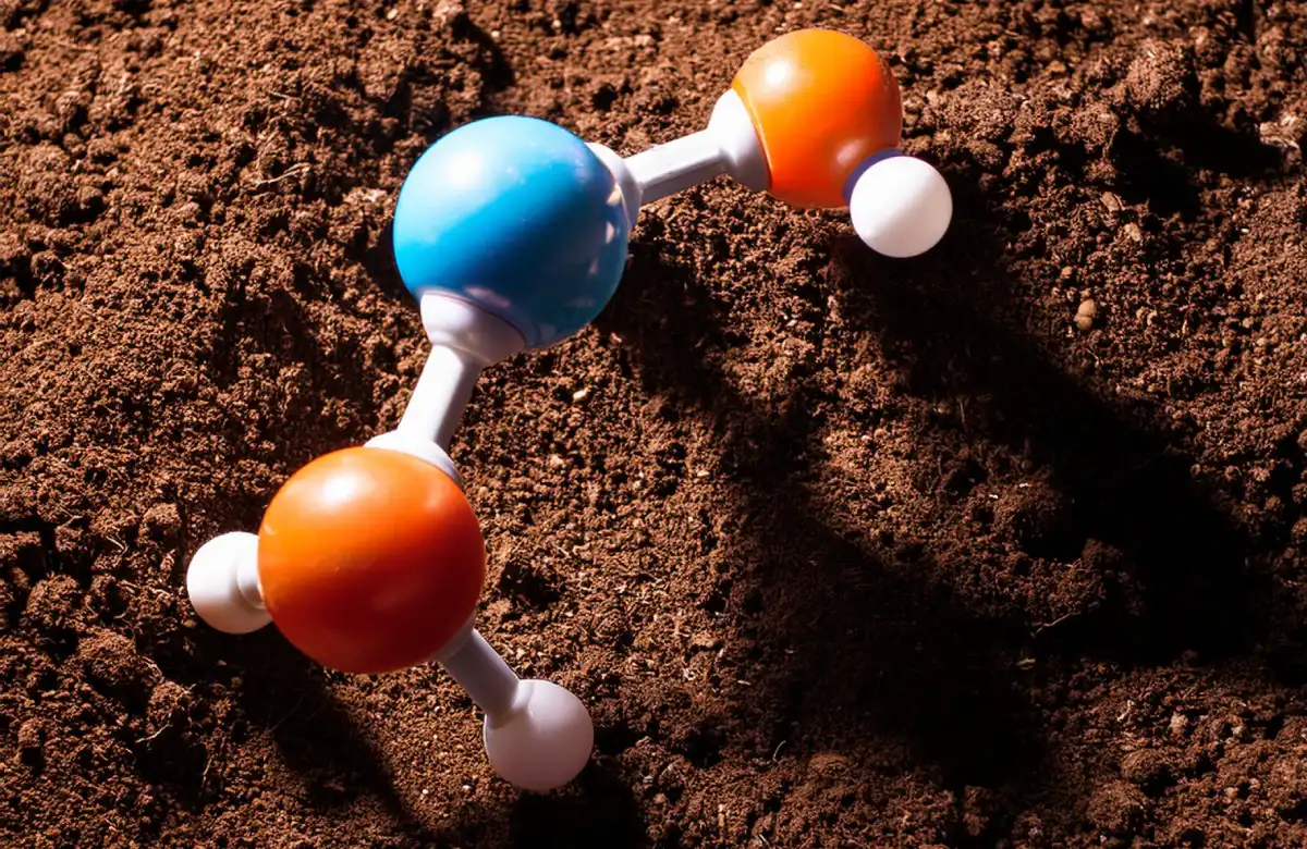 molecule models over soil